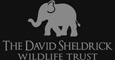 The David Sheldrick Wildlife Trust